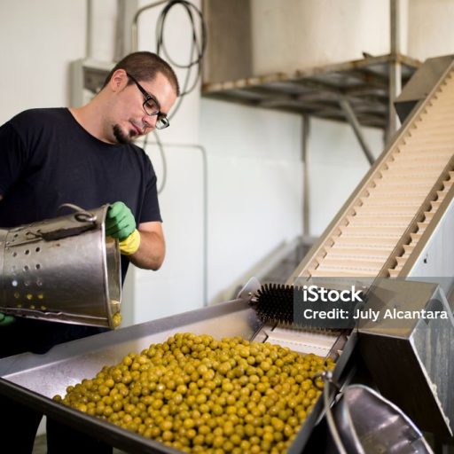 Candid photos of realistic man man working in olives factory Candid photos of realistic man man working in olives factory